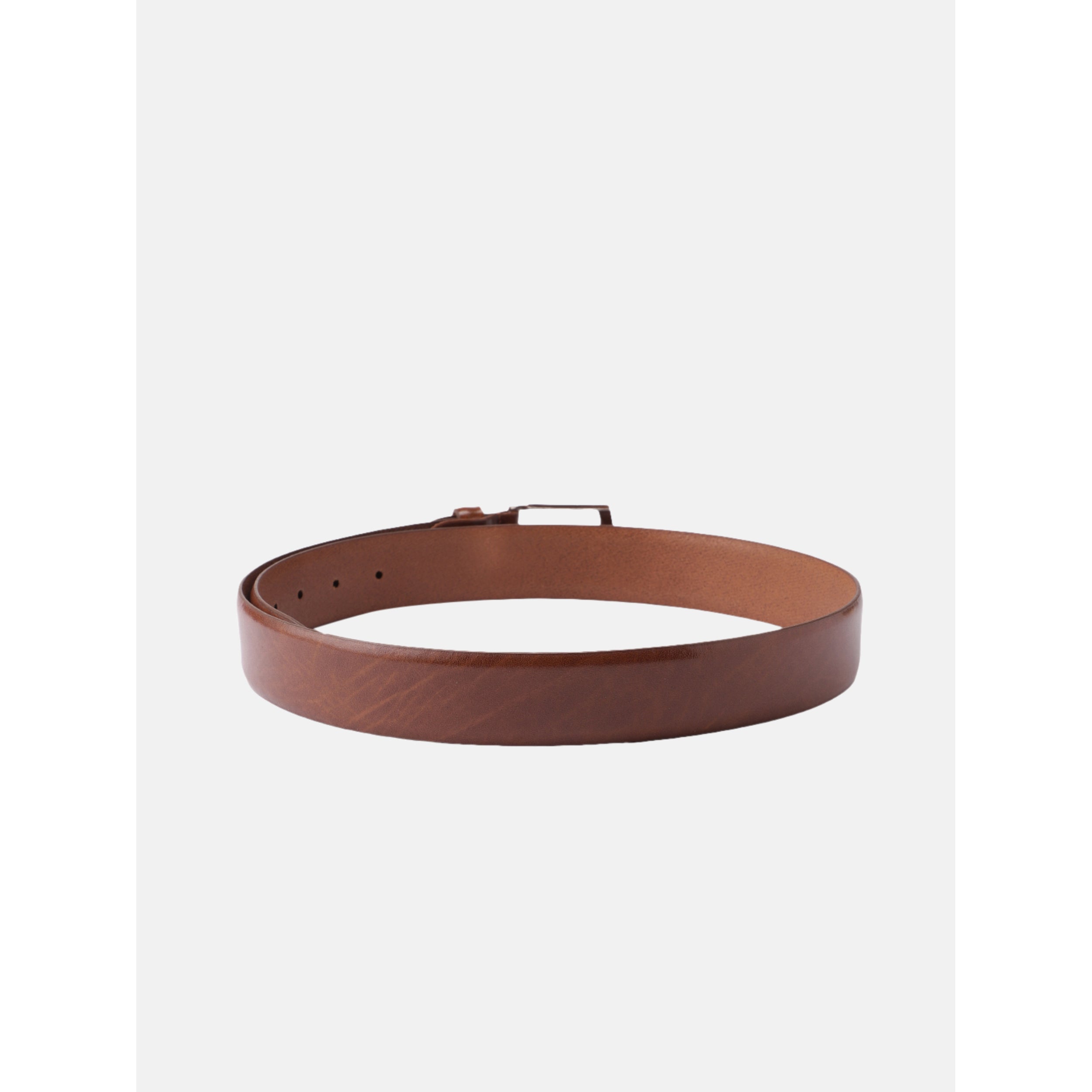 Unisex Genuine Leather Brown Waist Accessory Durable Metal Buckle Formal Casual Wear