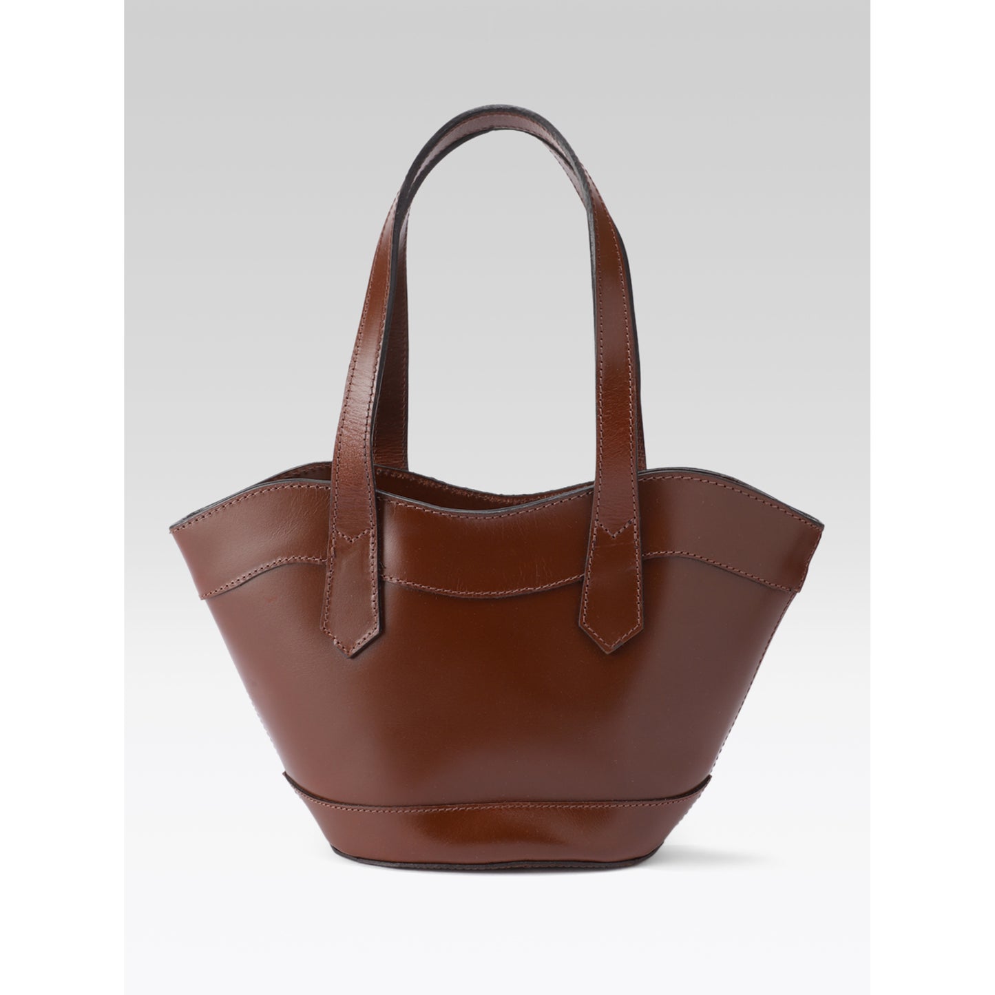 Premium Genuine Leather Mini Tote Bag with Dual Handles & Detachable Shoulder Strap