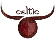 Celtic India 的标志