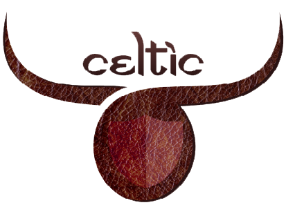 Celtic India logo