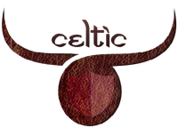 CELTICINDIA